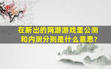 在新出的网游游戏里公测和内测分别是什么意思?