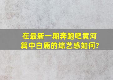 在最新一期《奔跑吧》黄河篇中,白鹿的综艺感如何?