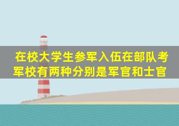 在校大学生参军入伍,在部队考军校有两种,分别是军官和士官 