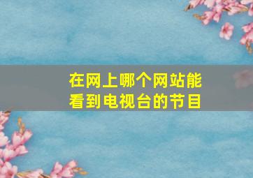 在网上哪个网站能看到电视台的节目