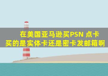 在美国亚马逊买PSN 点卡,买的是实体卡,还是密卡发邮箱啊。