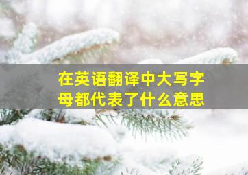 在英语翻译中大写字母都代表了什么意思