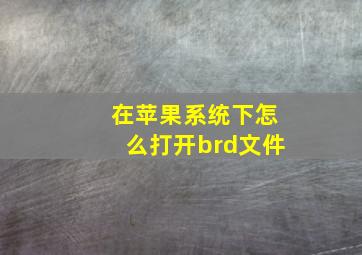 在苹果系统下怎么打开brd文件