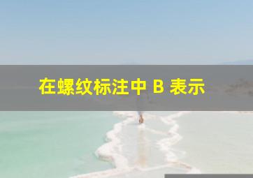 在螺纹标注中, B 表示( )