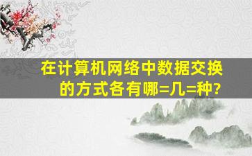 在计算机网络中,数据交换的方式各有哪=几=种?