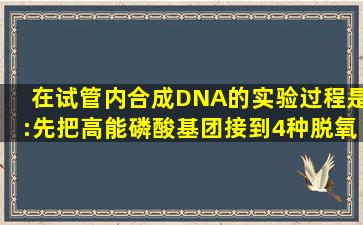 在试管内合成DNA的实验过程是:先把高能磷酸基团接到4种脱氧核苷酸...