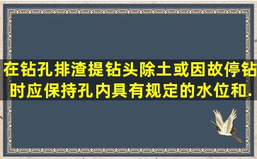 在钻孔排渣、提钻头除土或因故停钻时,应保持孔内具有规定的水位和...