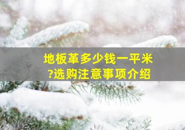 地板革多少钱一平米?选购注意事项介绍