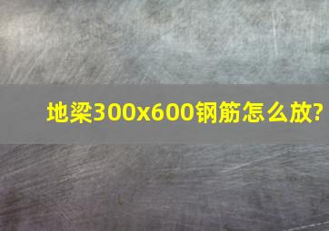 地梁300x600钢筋怎么放?