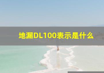 地漏DL100表示是什么