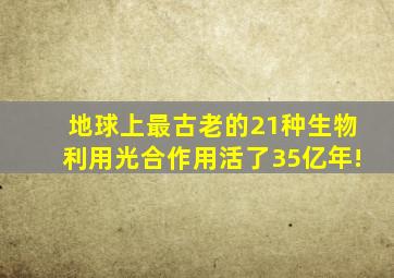 地球上最古老的21种生物,利用光合作用活了35亿年!