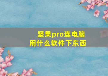 坚果pro连电脑用什么软件下东西