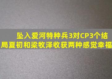 坠入爱河特种兵3对CP3个结局夏初和梁牧泽收获两种感觉幸福