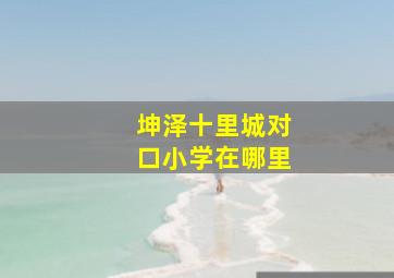 坤泽十里城对口小学在哪里