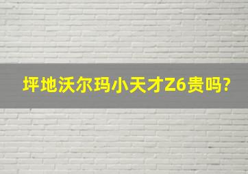 坪地沃尔玛小天才Z6贵吗?