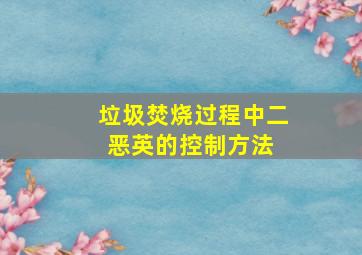 垃圾焚烧过程中二恶英的控制方法 