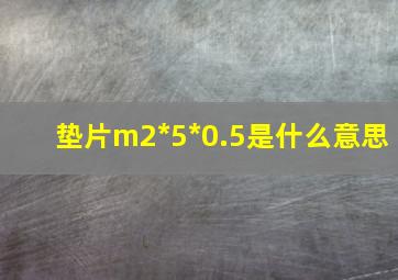 垫片m2*5*0.5是什么意思