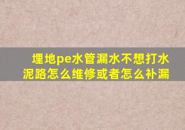 埋地pe水管漏水不想打水泥路怎么维修或者怎么补漏