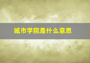 城市学院是什么意思 