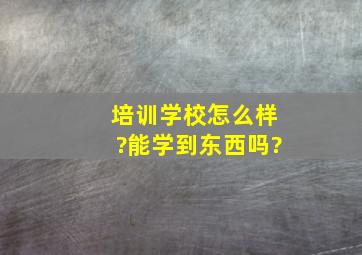 培训学校怎么样?能学到东西吗?