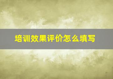 培训效果评价怎么填写