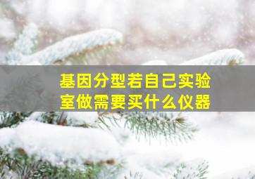 基因分型若自己实验室做需要买什么仪器