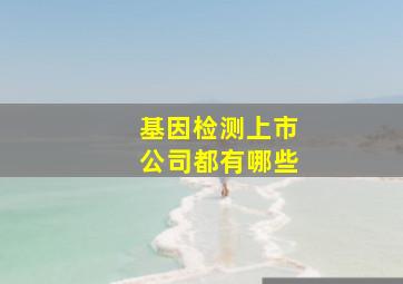 基因检测上市公司,,都有哪些