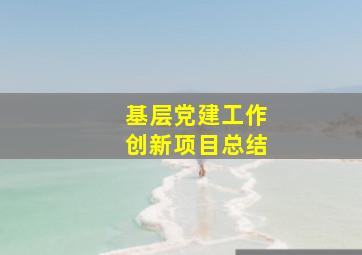 基层党建工作创新项目总结