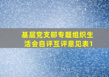 基层党支部专题组织生活会自评互评意见表1