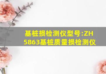 基桩损检测仪型号:ZH5863基桩质量损检测仪