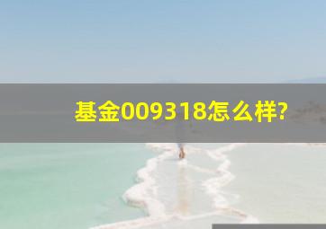 基金009318怎么样?