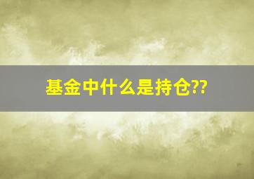 基金中什么是持仓??