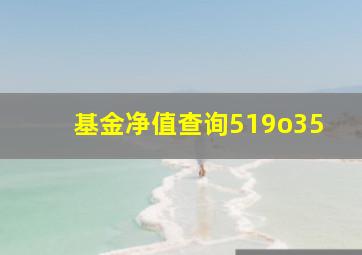 基金净值查询519o35