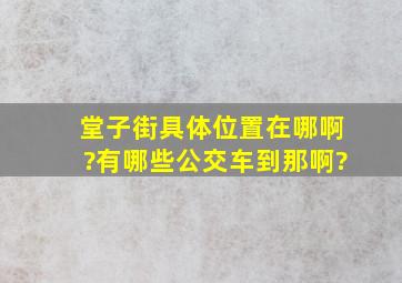 堂子街具体位置在哪啊?有哪些公交车到那啊?