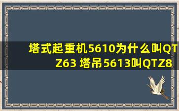 塔式起重机5610为什么叫QTZ63 塔吊5613叫QTZ80,6015叫QTZ100