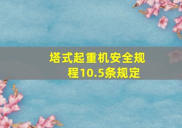 塔式起重机安全规程10.5条规定(