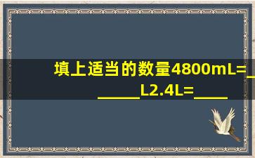 填上适当的数量4800mL=______L2.4L=______mL500ml=______L...