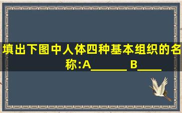 填出下图中人体四种基本组织的名称:A、______ B、______ C、____...