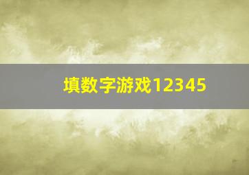 填数字游戏12345