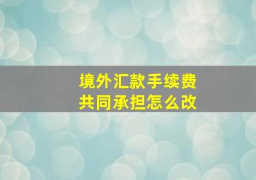 境外汇款手续费共同承担怎么改