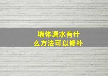 墙体漏水有什么方法可以修补