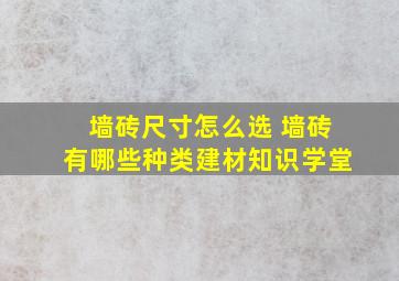 墙砖尺寸怎么选 墙砖有哪些种类建材知识学堂