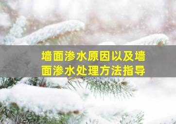 墙面渗水原因以及墙面渗水处理方法指导