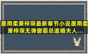 墨雨柔萧梓琛最新章节,小说墨雨柔萧梓琛无弹窗(霸总追婚夫人...