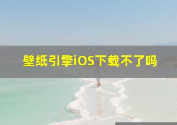 壁纸引擎iOS下载不了吗