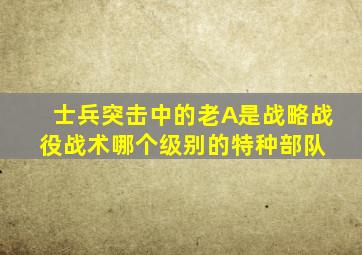 士兵突击中的老A是战略,战役,战术哪个级别的特种部队 