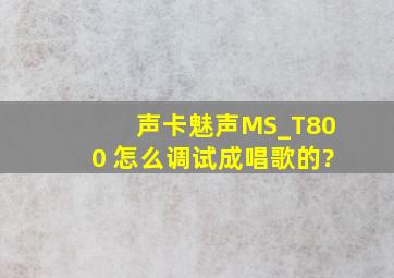 声卡魅声MS_T800 怎么调试成唱歌的?