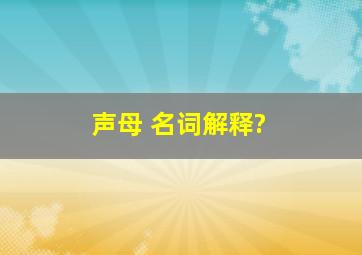 声母 名词解释?