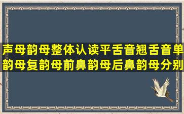 声母韵母,整体认读,平舌音翘舌音单韵母,复韵母,前鼻韵母后鼻韵母分别...