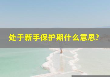 处于新手保护期什么意思?